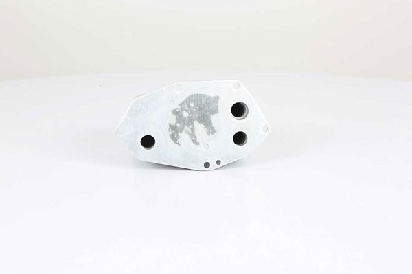 BSG 15-506-019 | Yağ Radyatörü