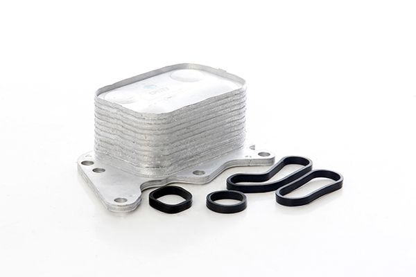 BSG 15-506-041 | Yağ Soğutucusu Contalı