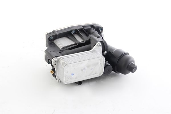 BSG 15-507-014 | Yağ Filtre Kütügü Komple