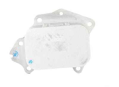 BSG 70-506-004 | Yağ Soğutucu Radyatörü Tek Petek / (11427805977)