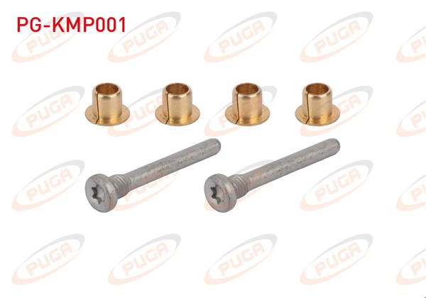 PUGA PG-KMP001 | Kapı Mentese Pımı Takım (Sarı) Renault 9 | 5 Adet