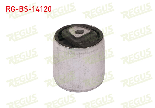 REGUS RG-BS-14120 | Salıncak Burcu Ön Sol-Sağ BMW 5 Serisi (E60) 520 D 2003-2010