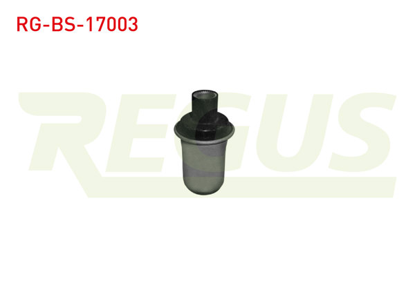 REGUS RG-BS-17003 | Salıncak Burcu Ön Sol-Sağ Daihatsu Hı-Jet II 1.0İ 1990 -