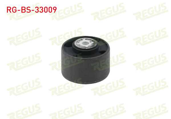 REGUS RG-BS-33009 | Şanzıman Takoz Burcu Peugeot Partner (5,5F) 1.9 D 1996-2008