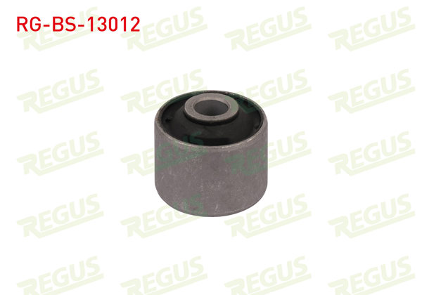 REGUS RG-BS-13012 | Denge Kol Burcu Arka Sol-Sağ Alt Audi 80 (81,85,B2) 1.3 1978-1986