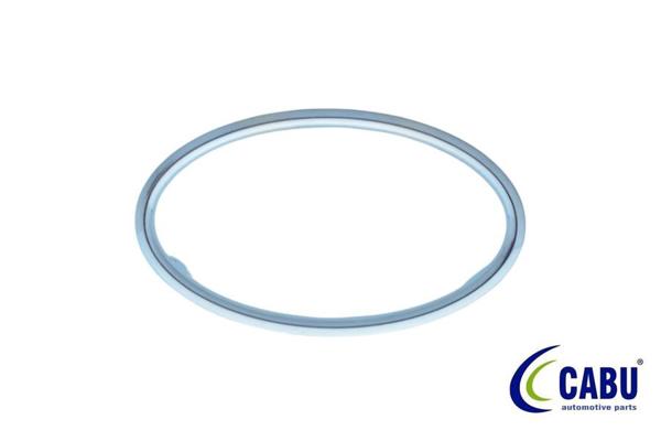 CABU 330812 | Kalorifer Ufleyıcı Çerçevesi Krom Focus II 05-..