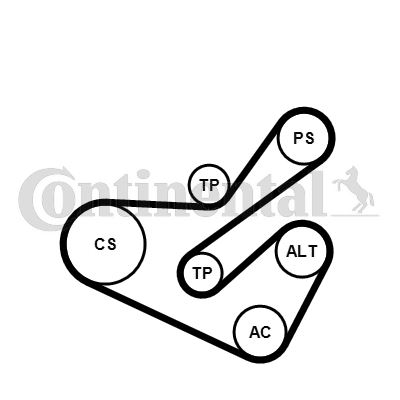 CONTINENTAL CTAM 6PK1740K1 | Alternatör Gergi Kiti 6Pk1740 Peugeot P206-P406-Partner-Expert-Citroen Berlingo-Jumpy-Xsara 2.0 Hd I-Scudo 2.0 JTD 00-06