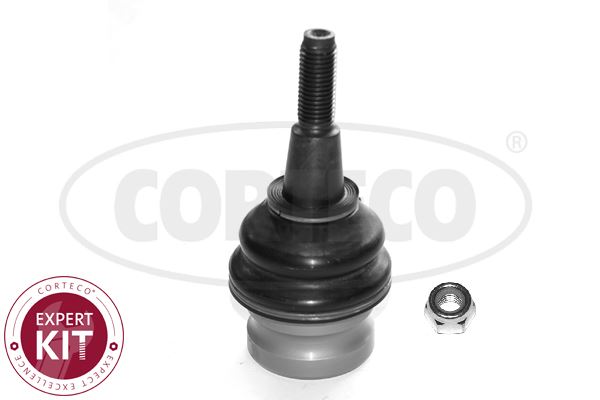 CORTECO 49398755 | Salıncak Alt Rotil A4 08 > 12 A4 Allroad Quattro 10 > 16 A5 08 > 11 A6 A7 11 > 14 Q5 09 > 12
