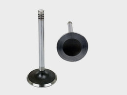 GÜNEŞ 6448-6449 | Nissan Micra K12 Note 1.2-1.4 16V 2003-2010 Subap Takım