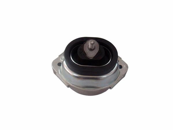 KAUTEK BM-EM029 | Kau-Bm-Em029 / BMW X5 E53 M62 Motor Takozu 22116770793
