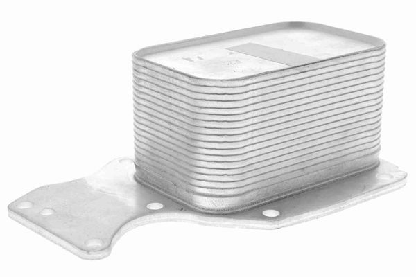MAHLE CLC251000S | Yağ Soğutucusu B-38 F-20 / 23 / 30 / 31 / 32 / 33 / 36 G-11 / 12