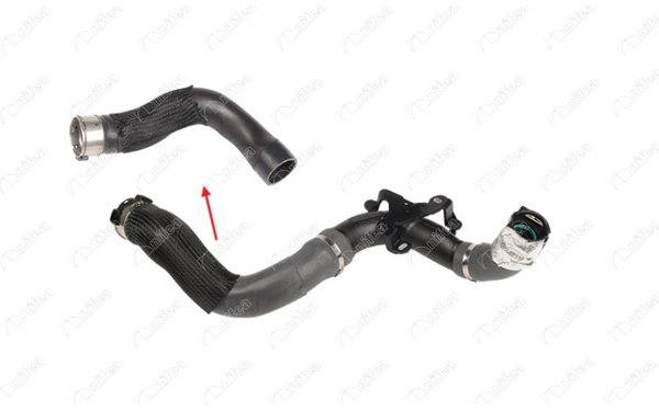 NIFEA 11790 | Turbo Hortumu Renault Kangoo Grand Kangoo II 08 > 21