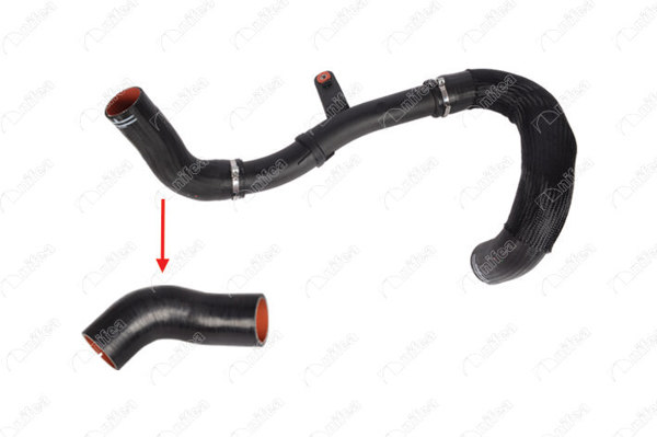 NIFEA 14777 | Turbo Hortumu Plastik Boru Hariç Ok Ile Gosterılen Küçük Hortum Ducato Boxer Jumper 06 >
