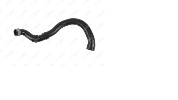 NIFEA 33215 | Radyatör Hortumu Alt W203 00 > 02 Cl203 01 > 02 S203 01 > 02