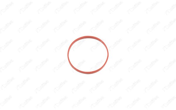 NIFEA 35281 | Gaz Kelebegı Contası F20 F30 Mini R56 11 > | 5 Adet