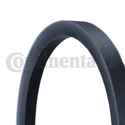 CONTINENTAL CTAM 13X2500 | Kayış Düz Avp