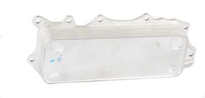 BSG 60-506-009 | Yağ Soğutucusu