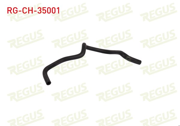 REGUS RG-CH-35001 | Devirdaim Hortumu Renault R9 (L42) 1.6 1985-2000 | 5 Adet