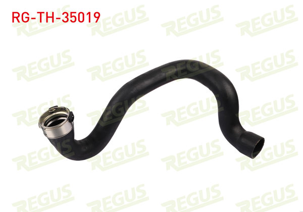 REGUS RG-TH-35019 | Turbo Borusu Renault Master III (Fv) 2.3 DCI 2010 -
