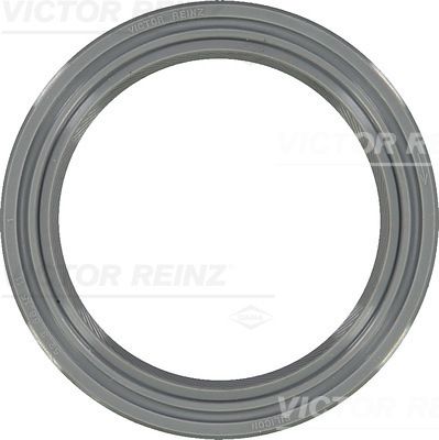 VİCTOR REİNZ 81-25587-10 | Shaft Oıl Seal