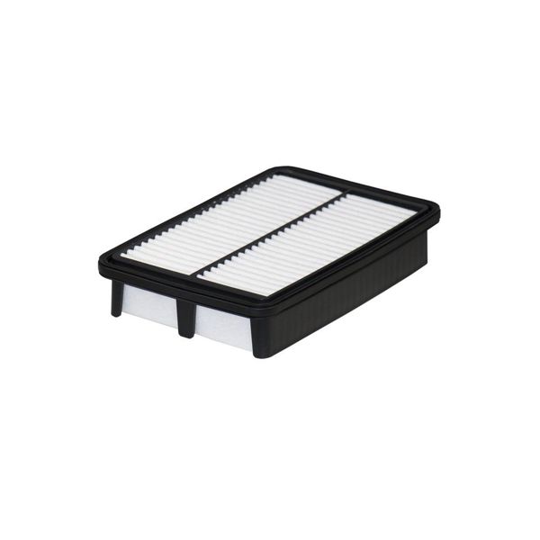 FILTRON AP197-6 | Hava Filtresi (Hyundai Creta 17 /)