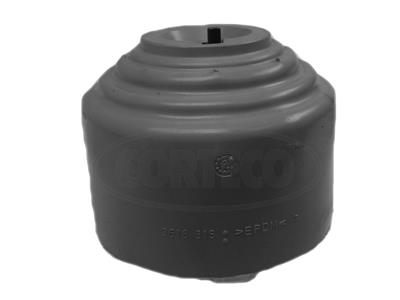 CORTECO 80001089 | Motor Takozu Mercedes W220 S-Class S400 CDI W210/W220 00-Om628960