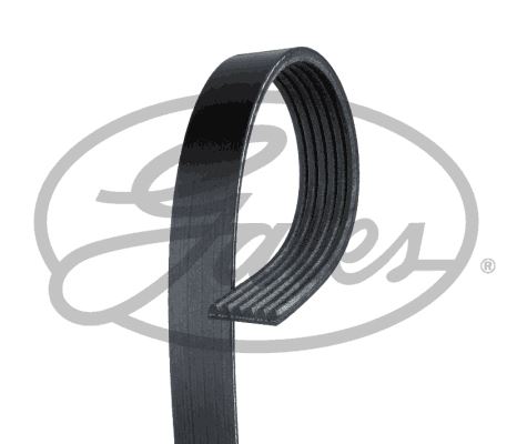 GATES 6PK1875 | Kanallı V Kayışı Kalos-Lacetti Aveo Polo