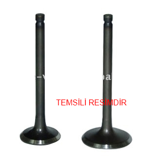GÜNEŞ 2572-2573 | Subap Takımı (8 Valf) Std Tek Tırnak Kia Cobra 3500 1996-
