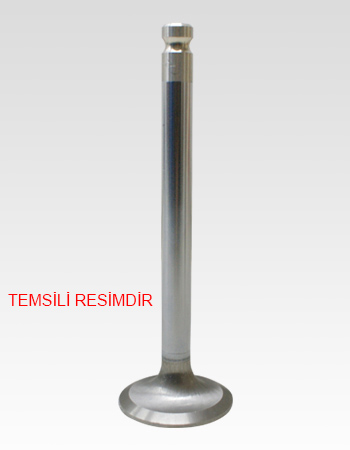 GÜNEŞ 3998-3999 | Nissan Terrano Patrol 3.0 DTI 16V 97-10 Takım Subap R20 Zd30ddti Zd30ti
