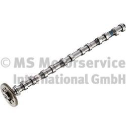 KOLBENSCHMIDT 50007683 | Eksantrik Mili M57n