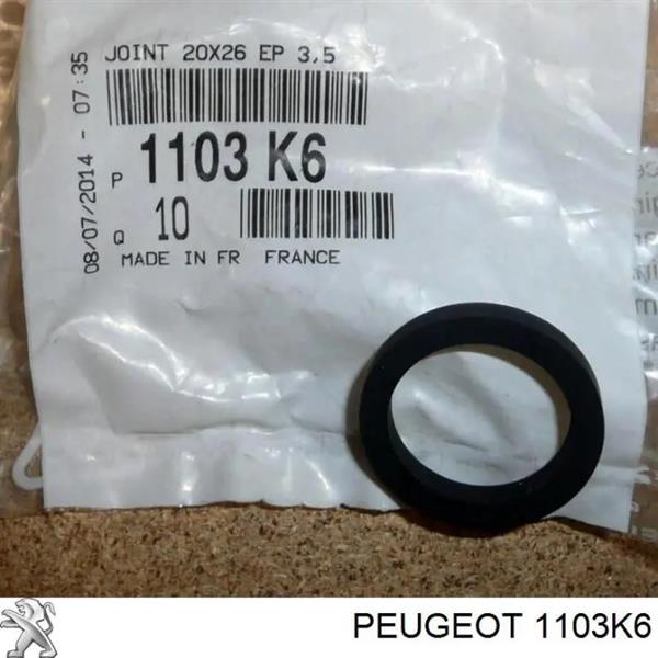 MOPAR (PSA) 1103.K6 | Yağ Soğutucu Contası 206-306-Saxo-Xsara-C3