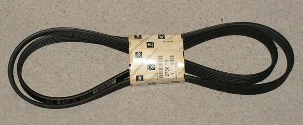 PSA 5750.YG | Alternatör Kayışı 6Pk1750 306 406 Expert Dw8