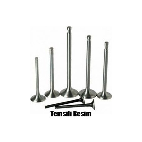 SUPSAN 40558-40559 | Takım Subap (16V) Fiat Brava Marea 18 18Ie 182A2 M64644