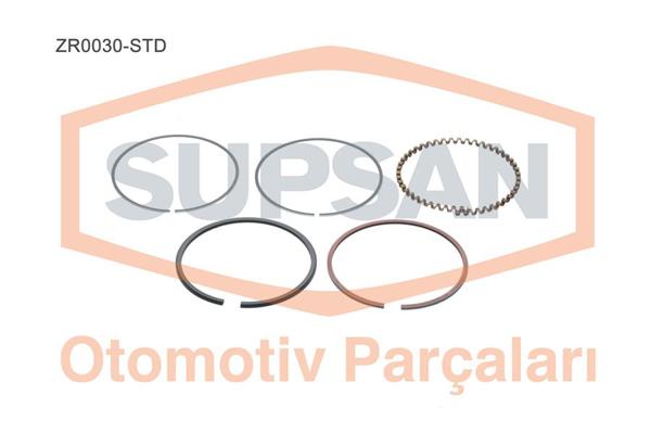 SUPSAN ZR0030-STD | Zr0030std / Motor Segman R12 R9 1.4 (L42) 1400 (Eng. C1j) 59 72Ps Std 1.750X2.000X4.000