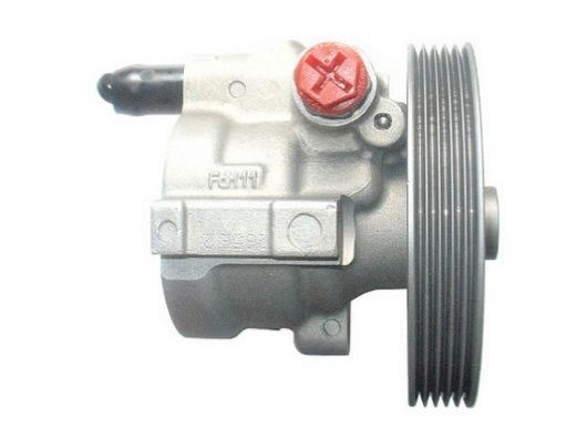 GKN 54184 | Direksiyon Pompası