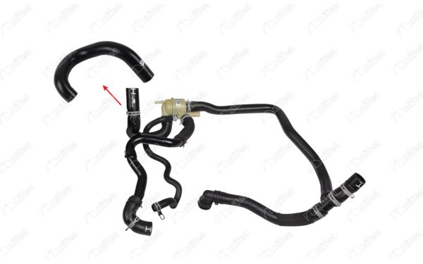 NIFEA 34880 | Radyatör Hortumu Land Rover Discovery III-IV L319 Range Rover Sport I L320 Çıkış