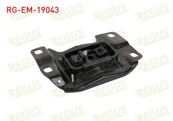 REGUS RG-EM-19043 | Motor Takozu Arka Sol Ford Transit Connect 1.5 TDCI 2013 -