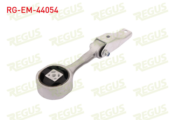 REGUS RG-EM-44054 | Motor Takozu Arka Alt Volkswagen Polo (6R) 1.6 TDI 2009 -