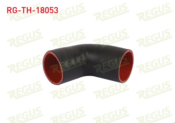 REGUS RG-TH-18053 | Turbo Hortumu Fiat Doblo (119,223) 1.9 JTD 2001-2010