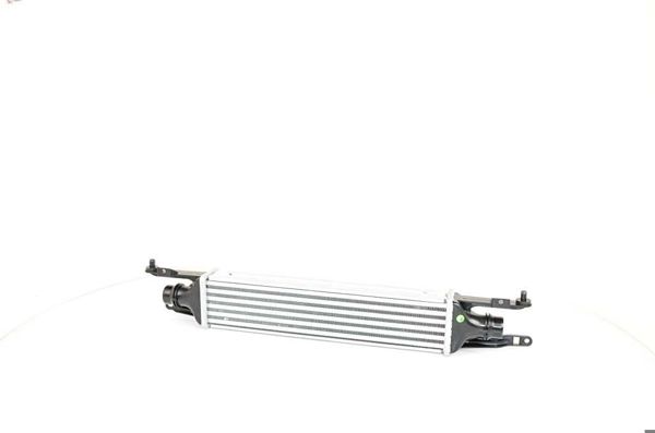 BSG 65-535-003 | Turbo Radyatörü Corsa D Z13dtj A13dtc 07 -