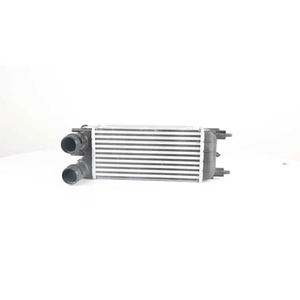 BSG 70-535-007 | Turbo Radyatörü 508 / C5 (X7) 1.6 HDI 2012 -