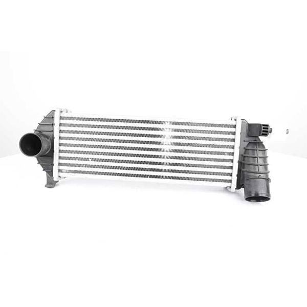 BSG 75-535-008 | Turbo Radyatörü Kangoo II 1.5 DCI 1998-2004