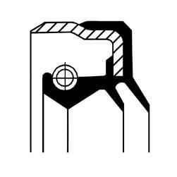 CORTECO 49119207 | Aks Keçesi Arka (38.0X54.7X 8.0)