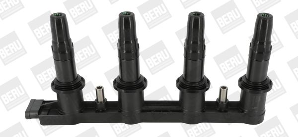 BORGWARNER ZSE198 | Ateşleme Bobini (Chevrolet: Aveo \ Cruze 1.6 09-/ Opel: Astra J \ Mokka 1.6 09 -)