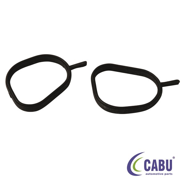 CABU 331302 | Termostat Contası Focus 98 > 05 Fiesta 02 > 08 | 10 Adet