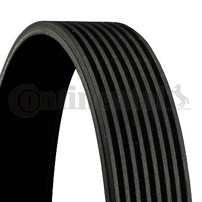 CONTINENTAL CTAM 8PK1450 | Kanallı V-Kayış Mercedes-Benz Zetroa 1733 08 -