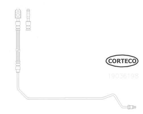 CORTECO 19036198 | Fren Hortumu Arka Sağ Passat-A4-A6-Superb Bm 97-04