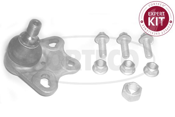 CORTECO 49398908 | Ön Alt Rotil Mercedes W169 W245 04-12