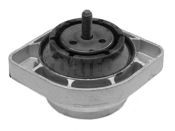 CORTECO 80000690 | Motor Kulağı Sol BMW M54 E83