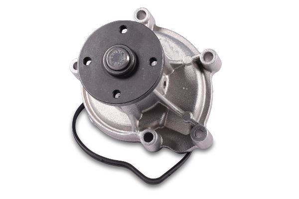 GK 980472 | Devirdaim M266-W169 / W245